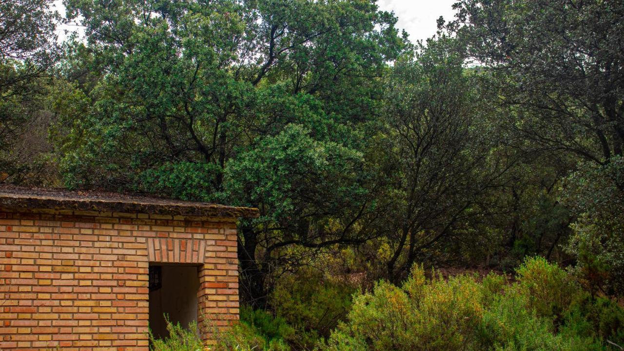 Casa Rural Valle De Los Molinos El Cristo del Espiritu Santo エクステリア 写真